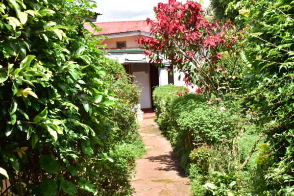 Espace vert de relaxation et de bien-être